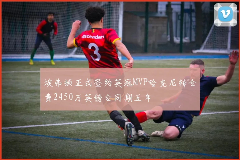 埃弗顿正式签约英冠MVP哈克尼转会费2450万英镑合同期五年
