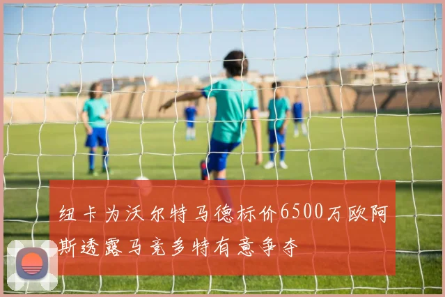 纽卡为沃尔特马德标价6500万欧阿斯透露马竞多特有意争夺