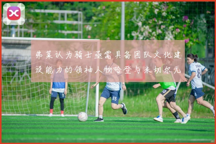 弗莱认为骑士亟需具备团队文化建设能力的领袖人物哈登与米切尔无法胜任