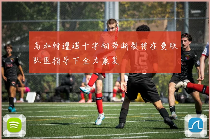 乌加特遭遇十字韧带断裂将在曼联队医指导下全力康复